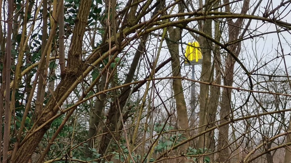 Zie de M schijnt door de bomen tralala, dag 1866
