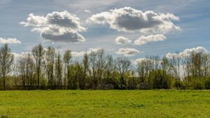 Land art Delft