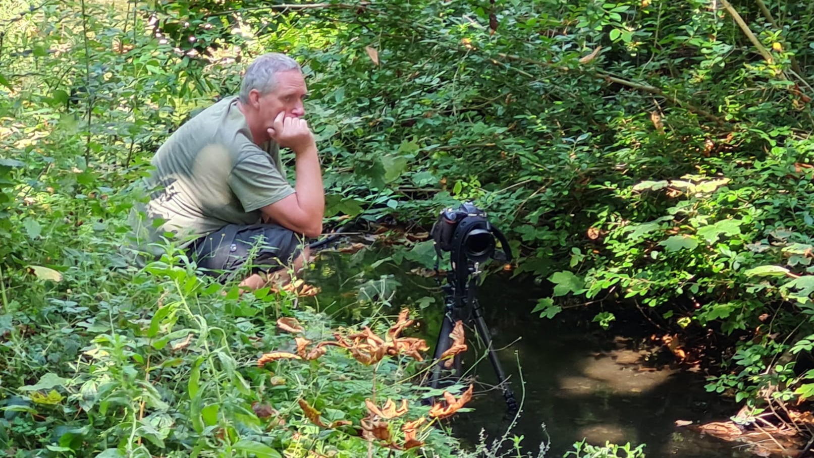 Watervallen van Nootdorp op dag 971