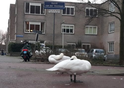 20 jan dag 20 van 2020