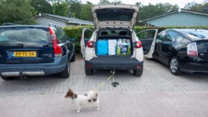 naar huis