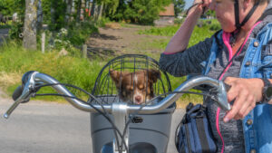 Op de fiets