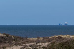 Duinen bij Kijkduin