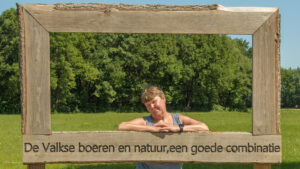Ijzertijdbos