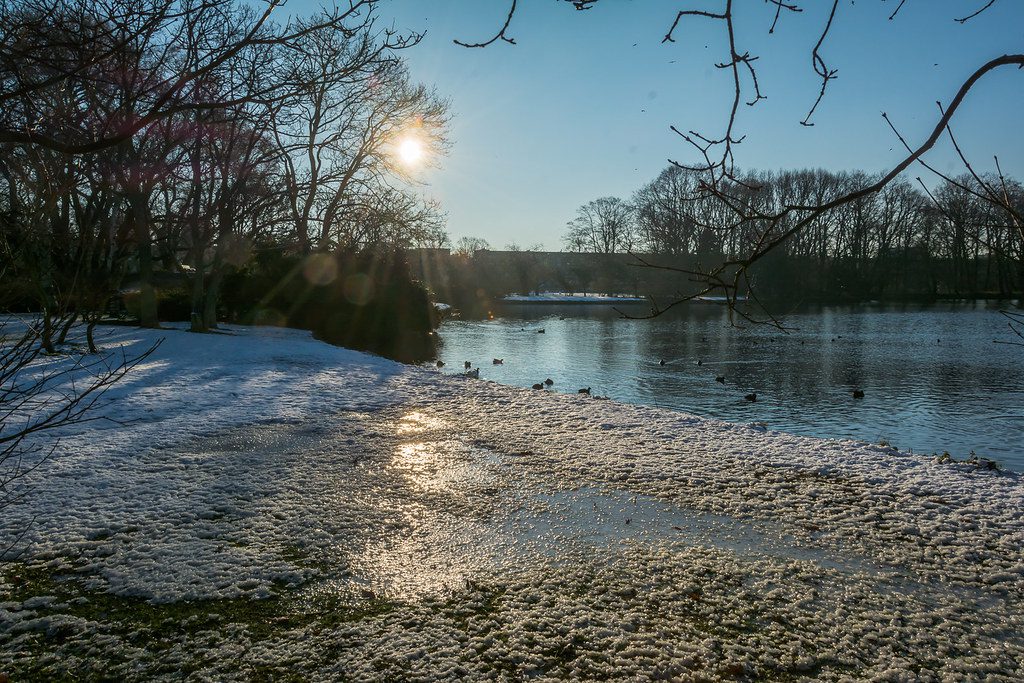 Winter in het Zuiderpark