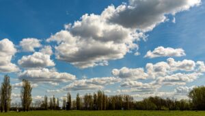 Land art Delft
