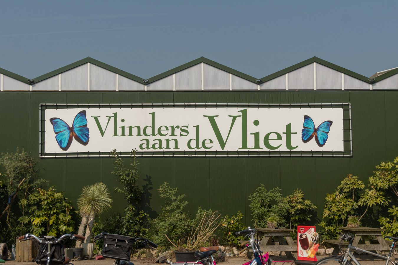 Vlinders aan de Vliet