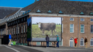 Photo Breda 2022