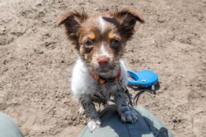 Vriend! in Meer en bos