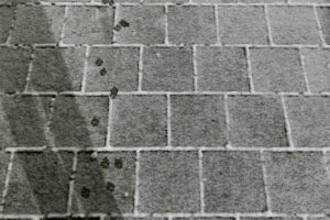 006-2025-01-05 1mm sneeuw