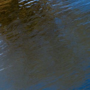 010-2025-04-09 Abstract Loosduinen