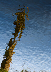 011-2025-04-09 Abstract Loosduinen