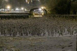 012-2025-01-05 1mm sneeuw