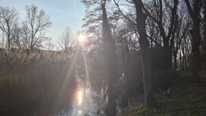 013-2025-03-31 Diverse maart