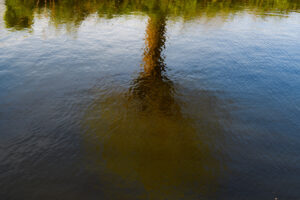 013-2025-04-09 Abstract Loosduinen