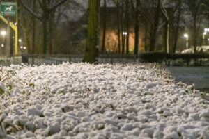 014-2025-01-05 1mm sneeuw