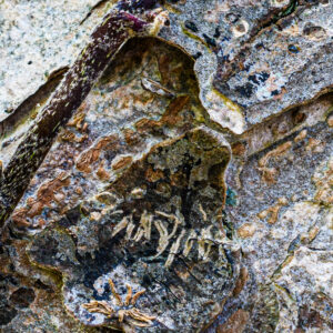 016-2025-04-09 Abstract Loosduinen