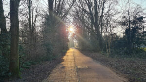 017-2025-03-31 Diverse maart