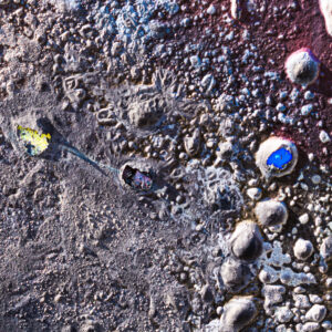 017-2025-04-09 Abstract Loosduinen