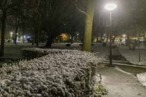 019-2025-01-05 1mm sneeuw