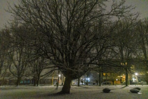 020-2025-01-05 1mm sneeuw