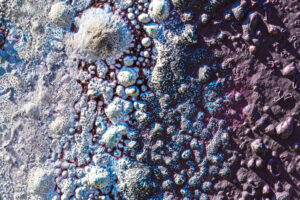 023-2025-04-09 Abstract Loosduinen