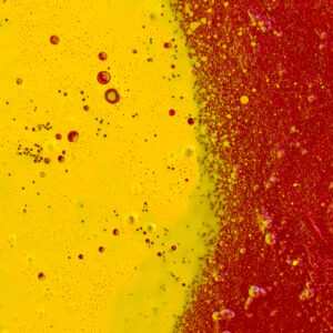 029-2025-04-09 Abstract Loosduinen