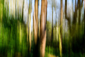 033-2025-04-09 Abstract Loosduinen