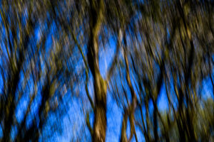 035-2025-04-09 Abstract Loosduinen