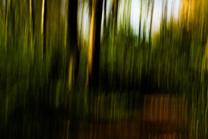037-2025-04-09 Abstract Loosduinen