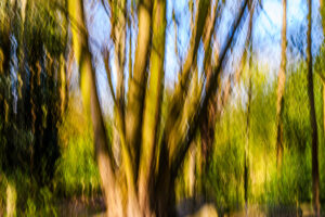038-2025-04-09 Abstract Loosduinen