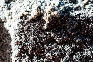 039-2025-04-09 Abstract Loosduinen
