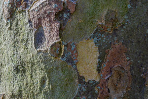 040-2025-04-09 Abstract Loosduinen