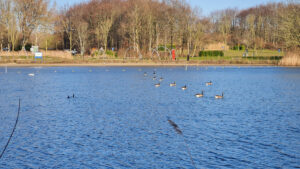 048-2025-03-31 Diverse maart