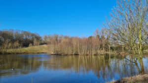 049-2025-03-31 Diverse maart