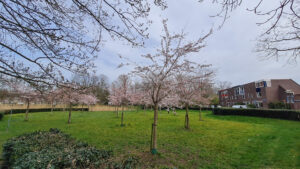 064-2025-03-31 Diverse maart