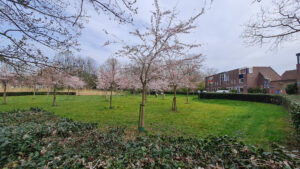 065-2025-03-31 Diverse maart
