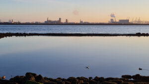 096-2025-03-31 Diverse maart