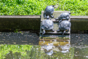 155-2025-06-12 Kasteeltuin Born