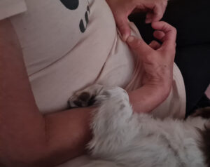062-2025-05-31 Maand mei