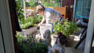 070-2025-05-31 Maand mei