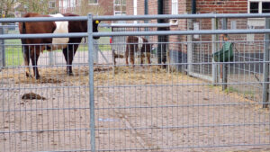 125-2025-05-31 Maand mei