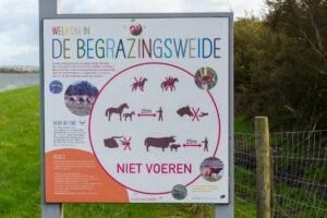 005-2024-11-17 Landtong