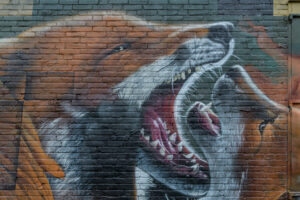 006-2024-04-01 Street art The Hague
