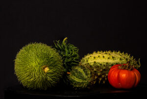 009-2024-09-22 Mini studio in actie