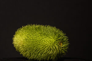010-2024-09-22 Mini studio in actie