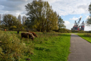 013-2024-11-17 Landtong