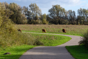 022-2024-11-17 Landtong
