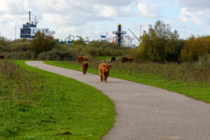 034-2024-11-17 Landtong