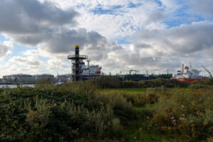 054-2024-11-17 Landtong